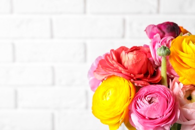 Photo of Beautiful ranunculus flowers against white brick wall, closeup. Space for text