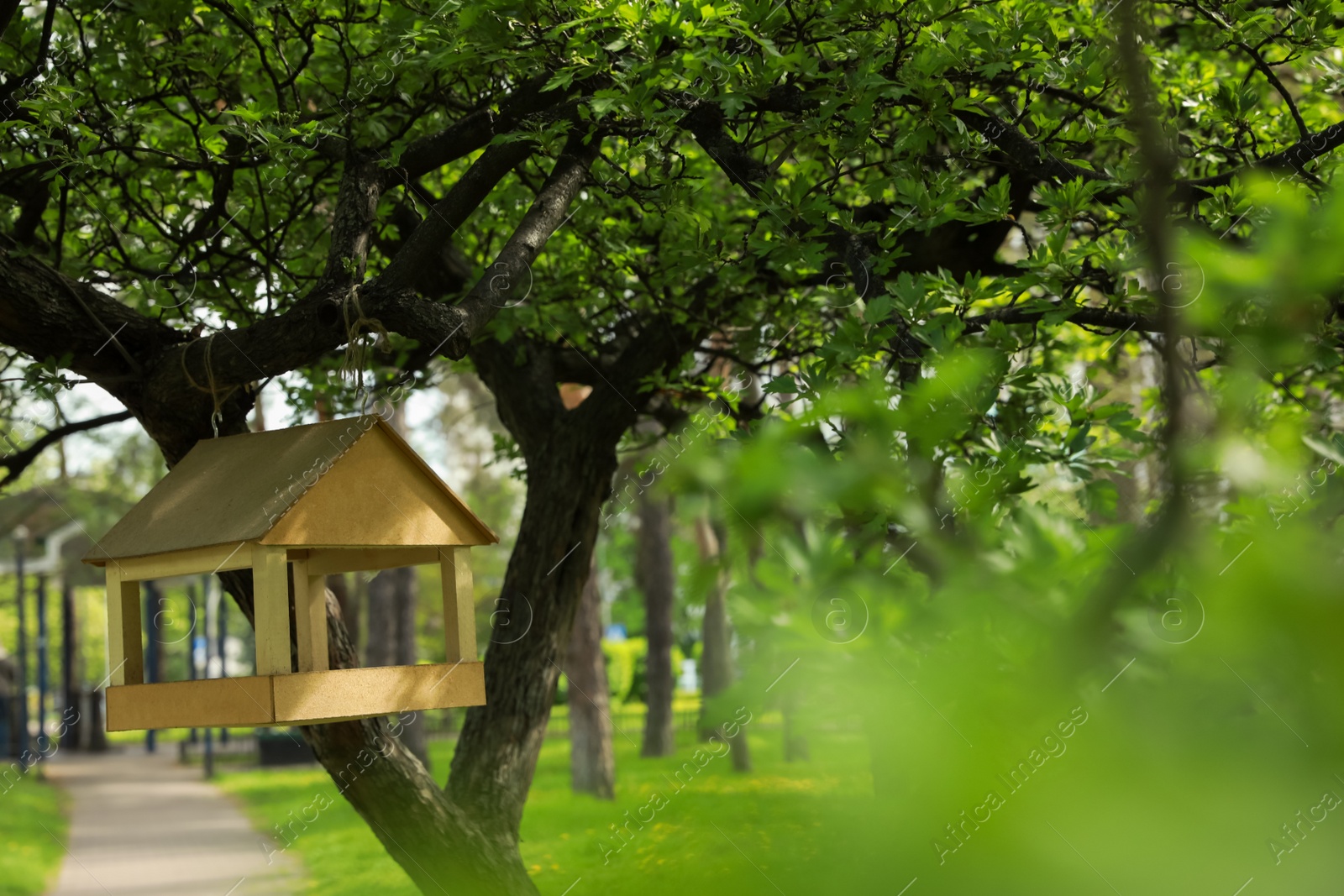 Photo of Wooden birdhouse hanging on tree in city park