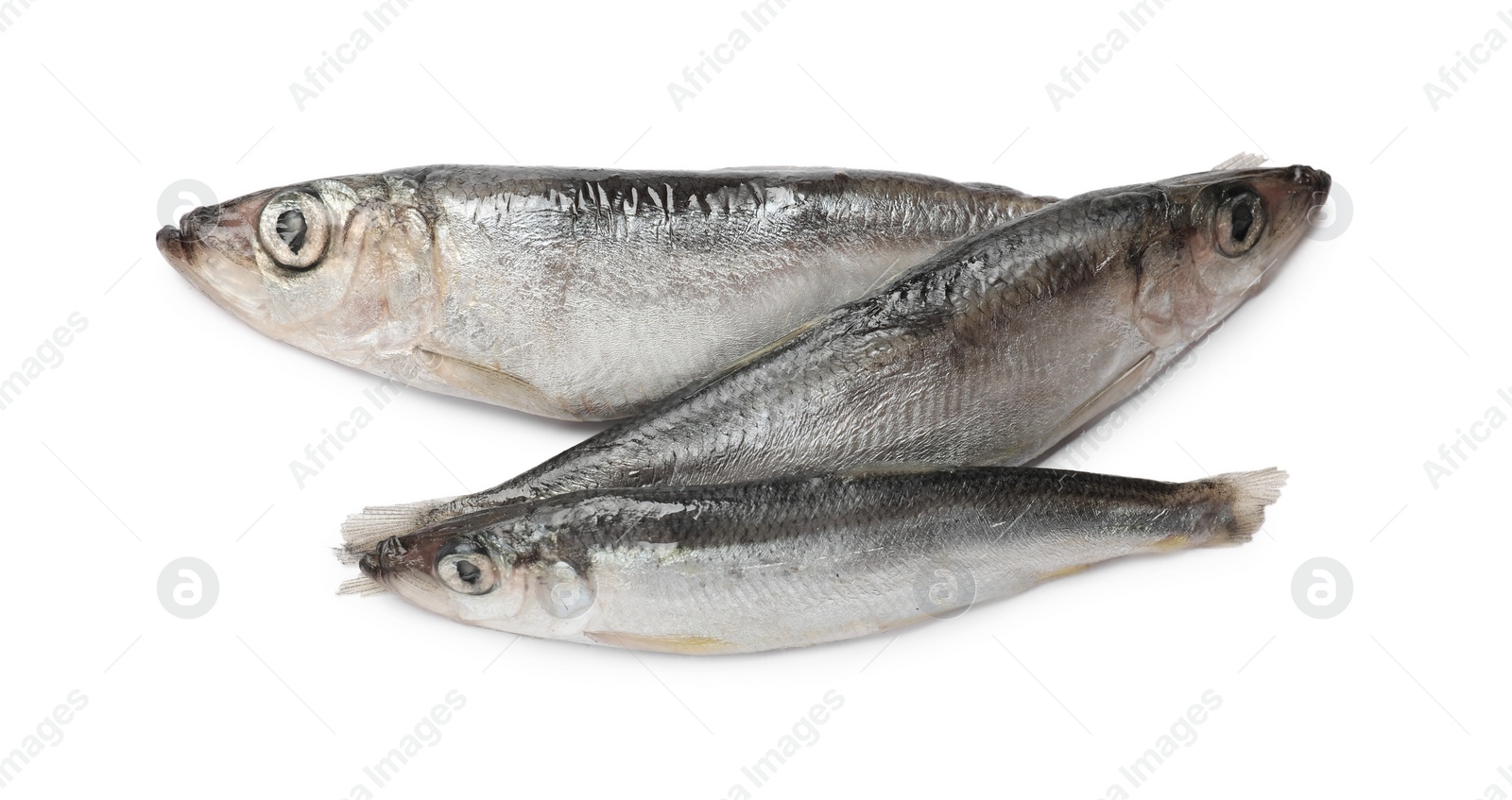 Photo of Fresh raw sprats isolated on white, top view