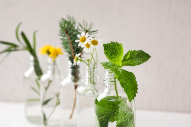 Glass bottles of different essential oils with plants against light background, closeup