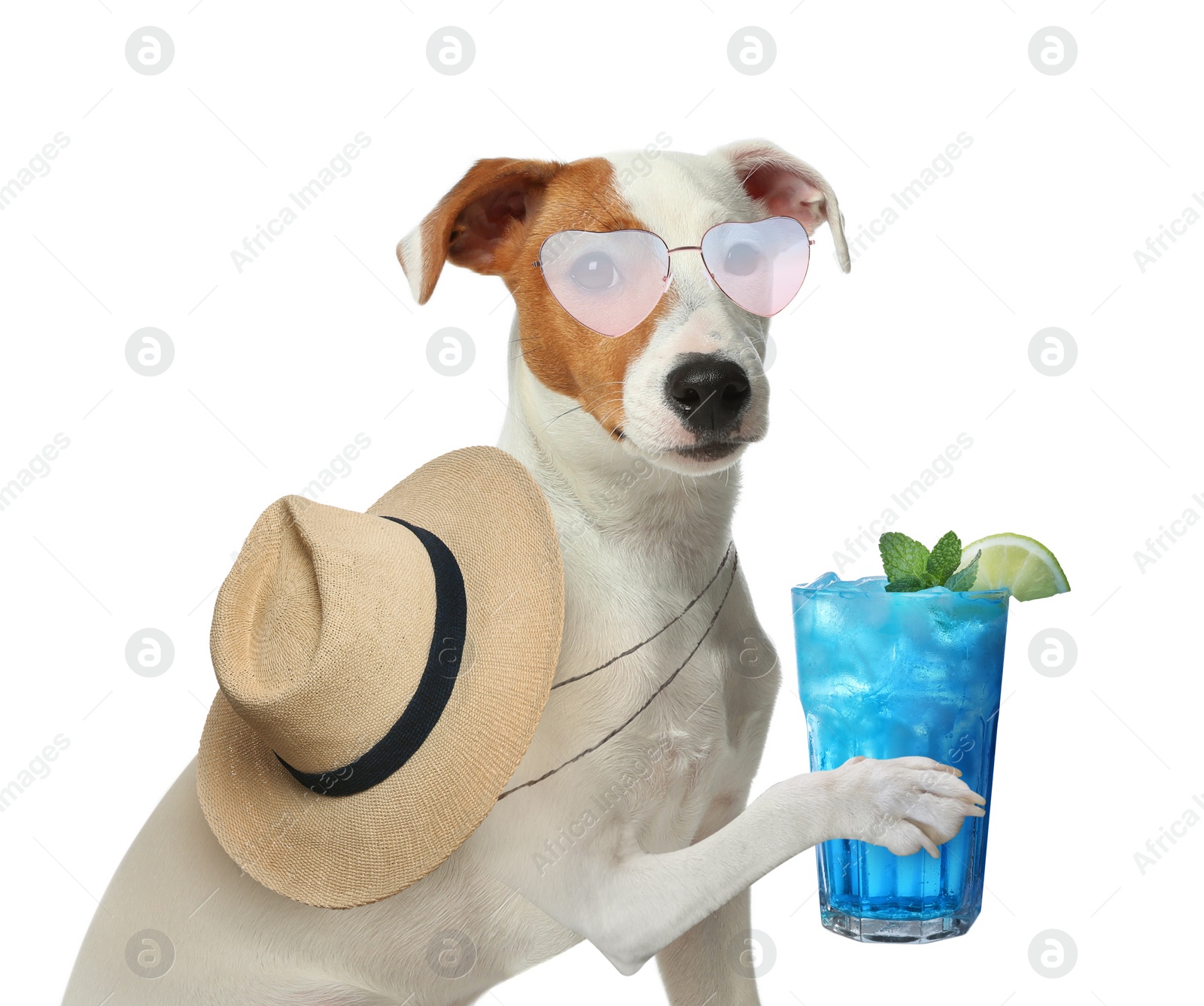 Image of Cute dog in sunglasses with cocktail and hat on white background. Summer party