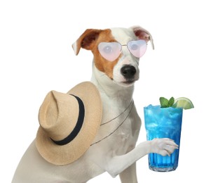 Cute dog in sunglasses with cocktail and hat on white background. Summer party