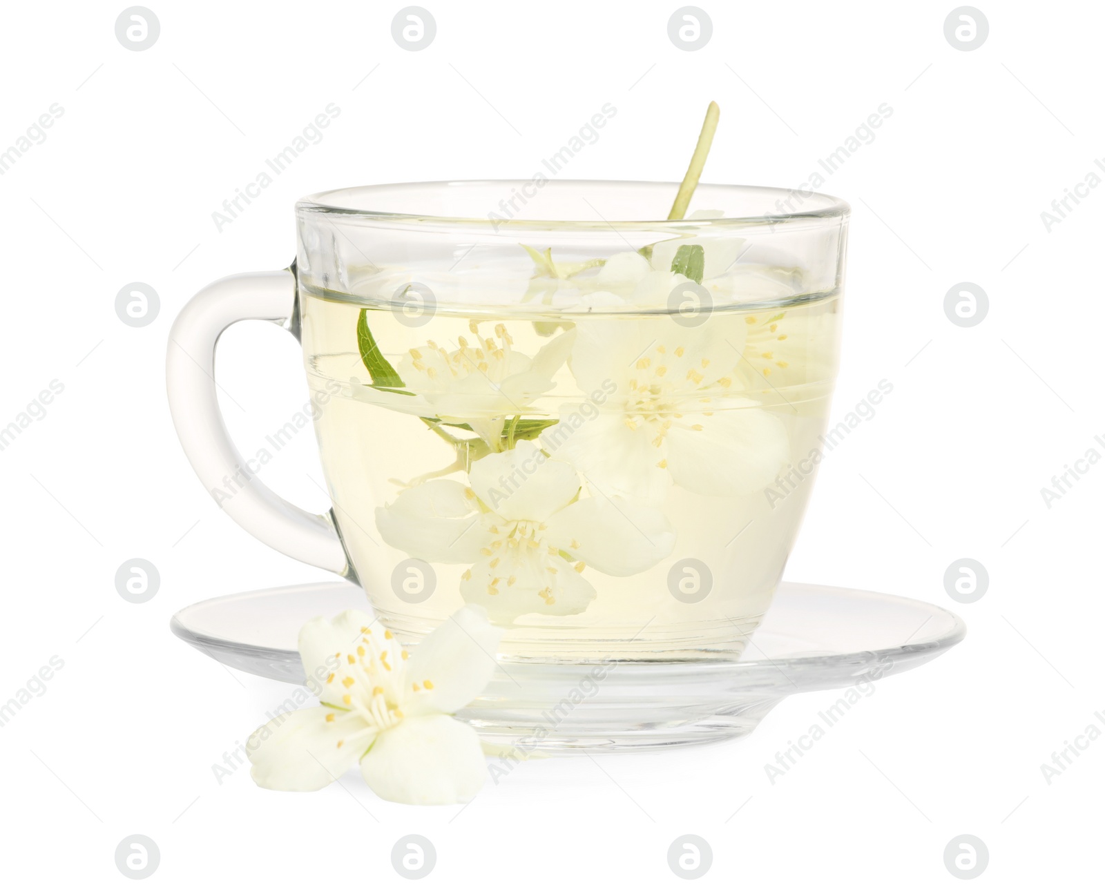 Photo of Aromatic herbal tea in glass cup and jasmine flowers isolated on white