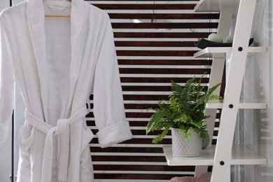 Photo of Beautiful green fern on shelving unit in bathroom