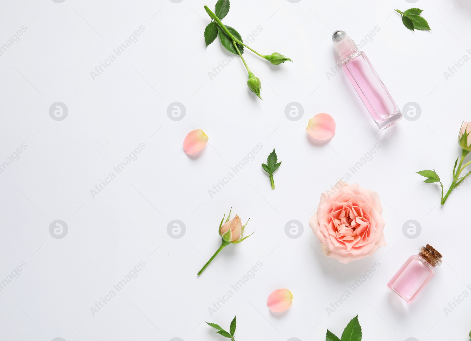 Photo of Composition with rose essential oil and flowers on white background, top view