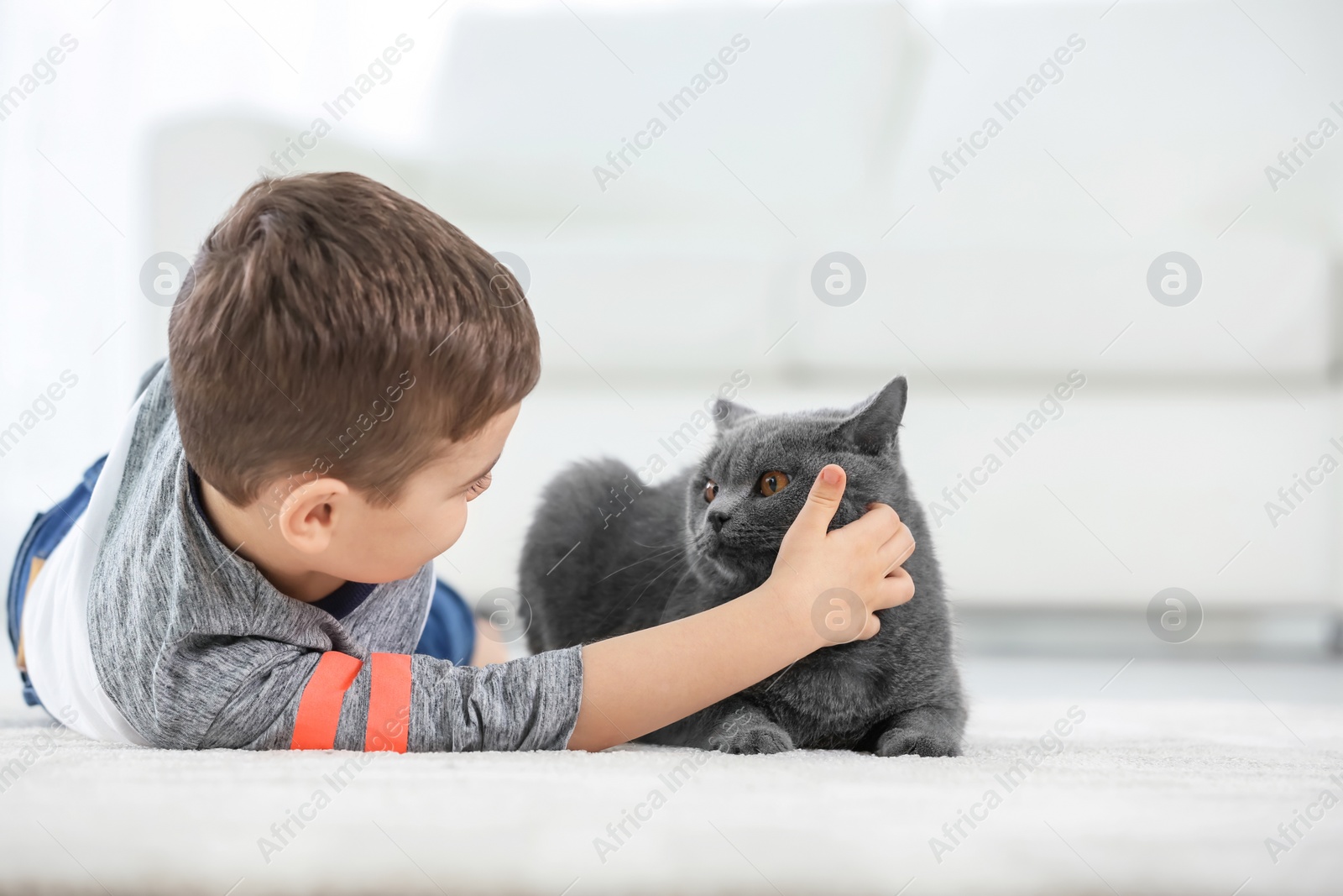 Photo of Cute little child with cat at home