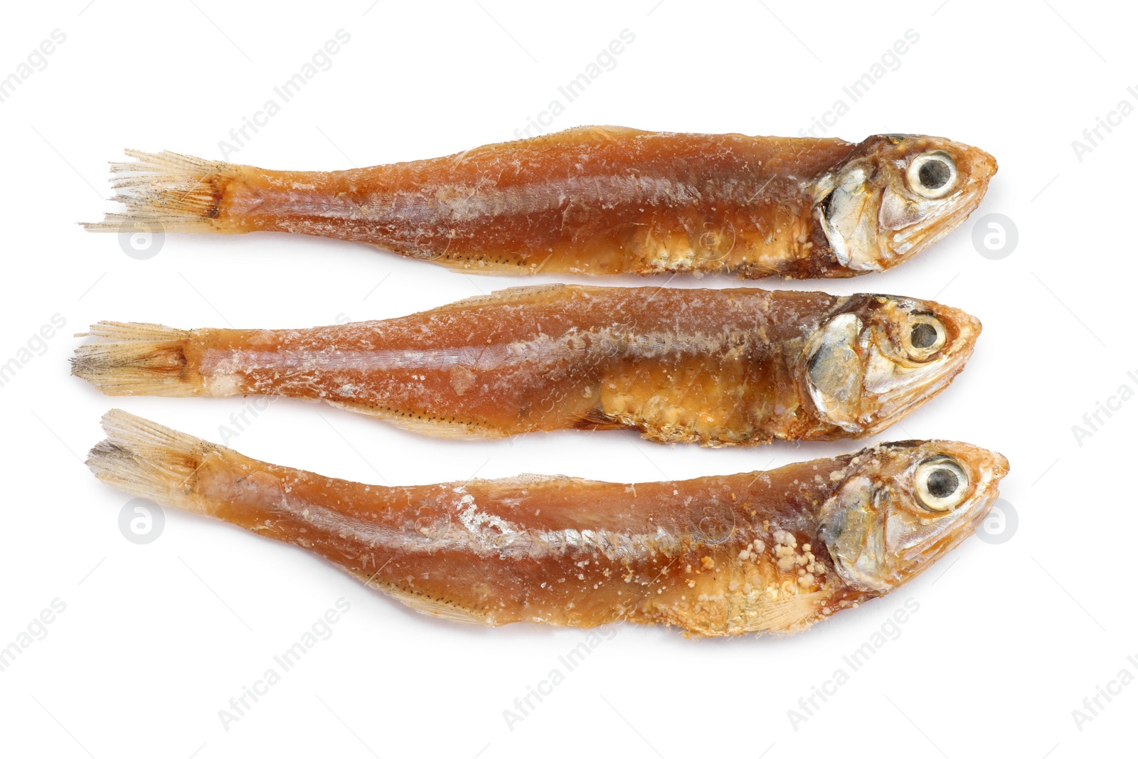 Photo of Delicious dried salted anchovies on white background, top view