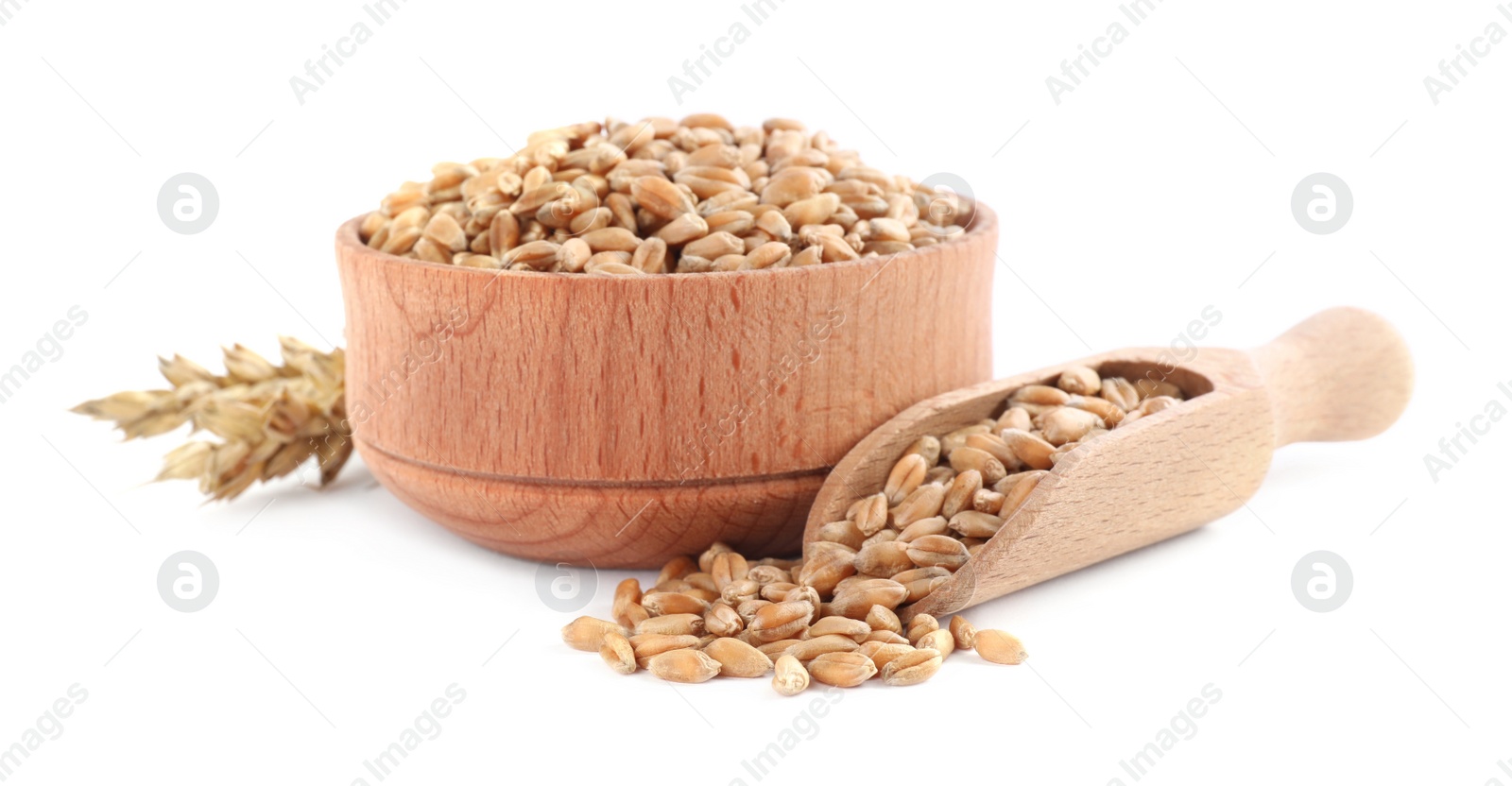 Photo of Wooden bowl, scoop with wheat grains and spikes on white background