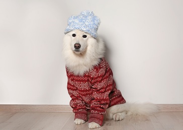 Photo of Cute dog in warm sweater and hat on floor. Christmas celebration