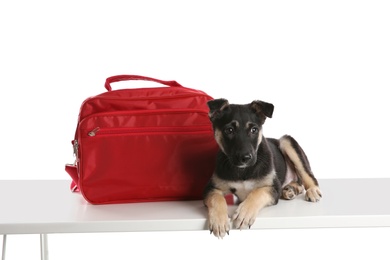 Cute puppy with first aid kit on white background