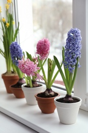 Photo of Beautiful flowers in pots on window sill indoors