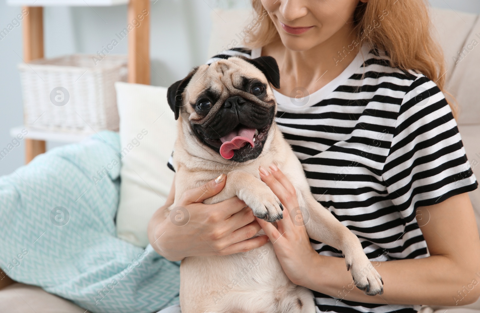 Photo of Woman with cute pug dog at home, closeup. Animal adoption