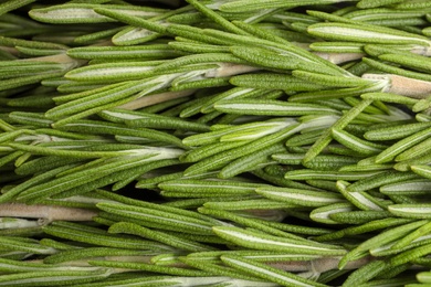 Photo of Fresh rosemary twigs as background