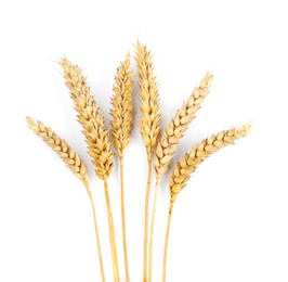 Photo of Dried ears of wheat on white background, top view