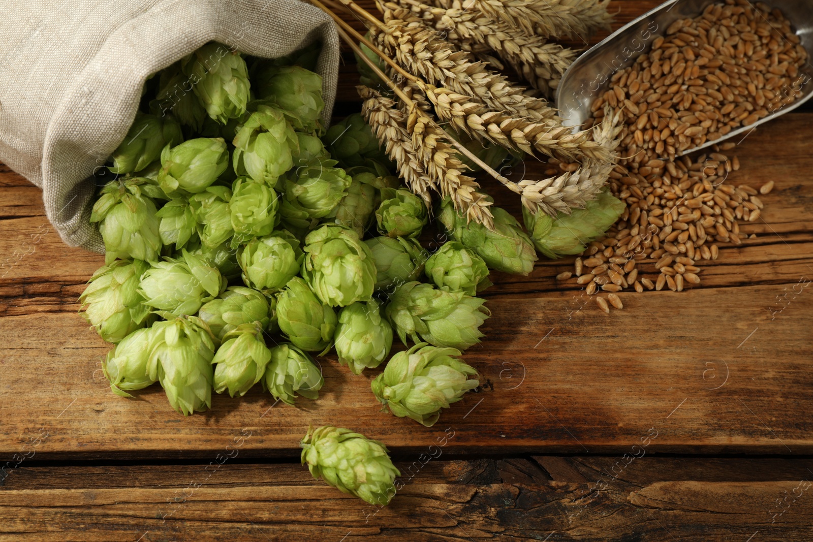 Photo of Fresh green hops, wheat grains and spikes on wooden table, flat lay