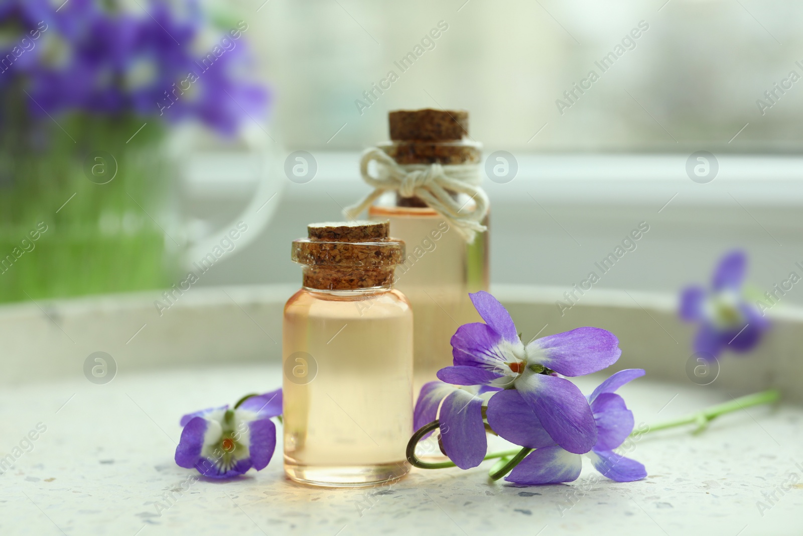 Photo of Beautiful wood violets and essential oil on table. Spring flowers