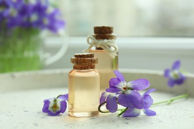 Beautiful wood violets and essential oil on table. Spring flowers