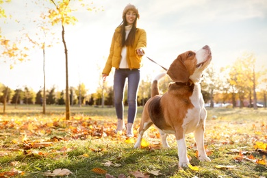 Photo of Woman walking her cute Beagle dog in autumn park