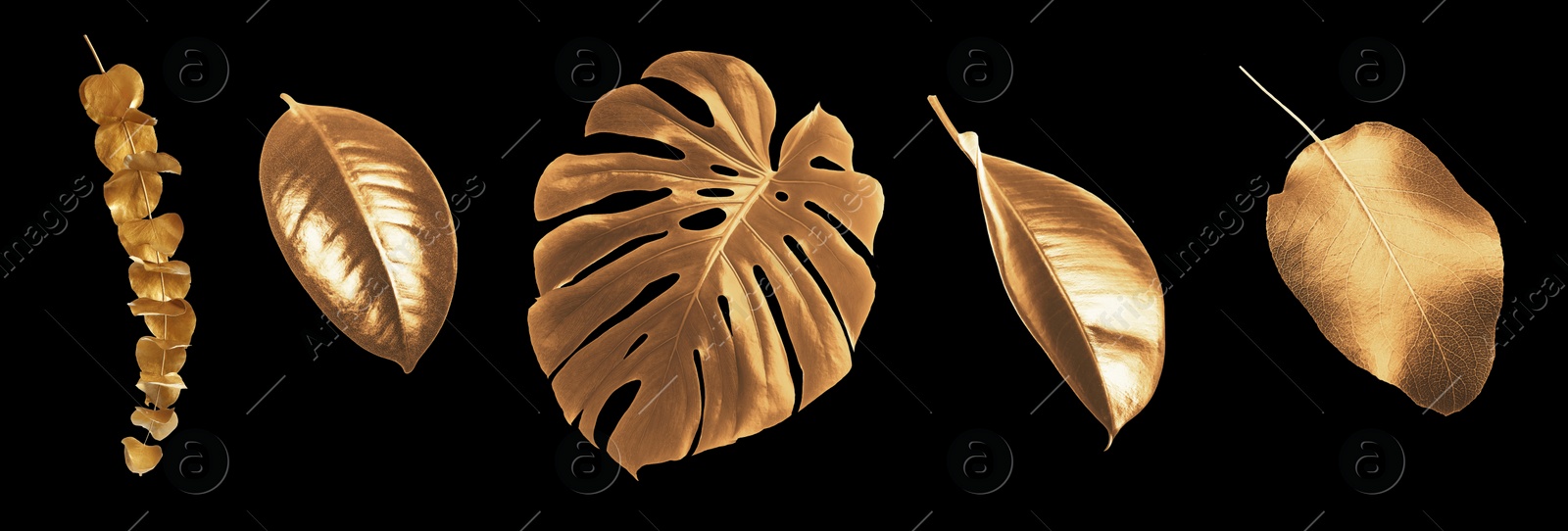 Image of Collage with different gold painted leaves on black background, banner design
