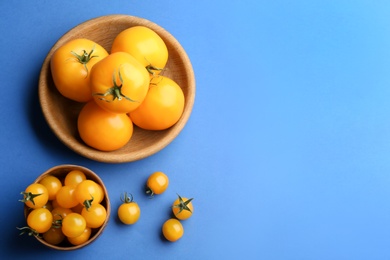 Photo of Yellow tomatoes on blue background, flat lay. Space for text