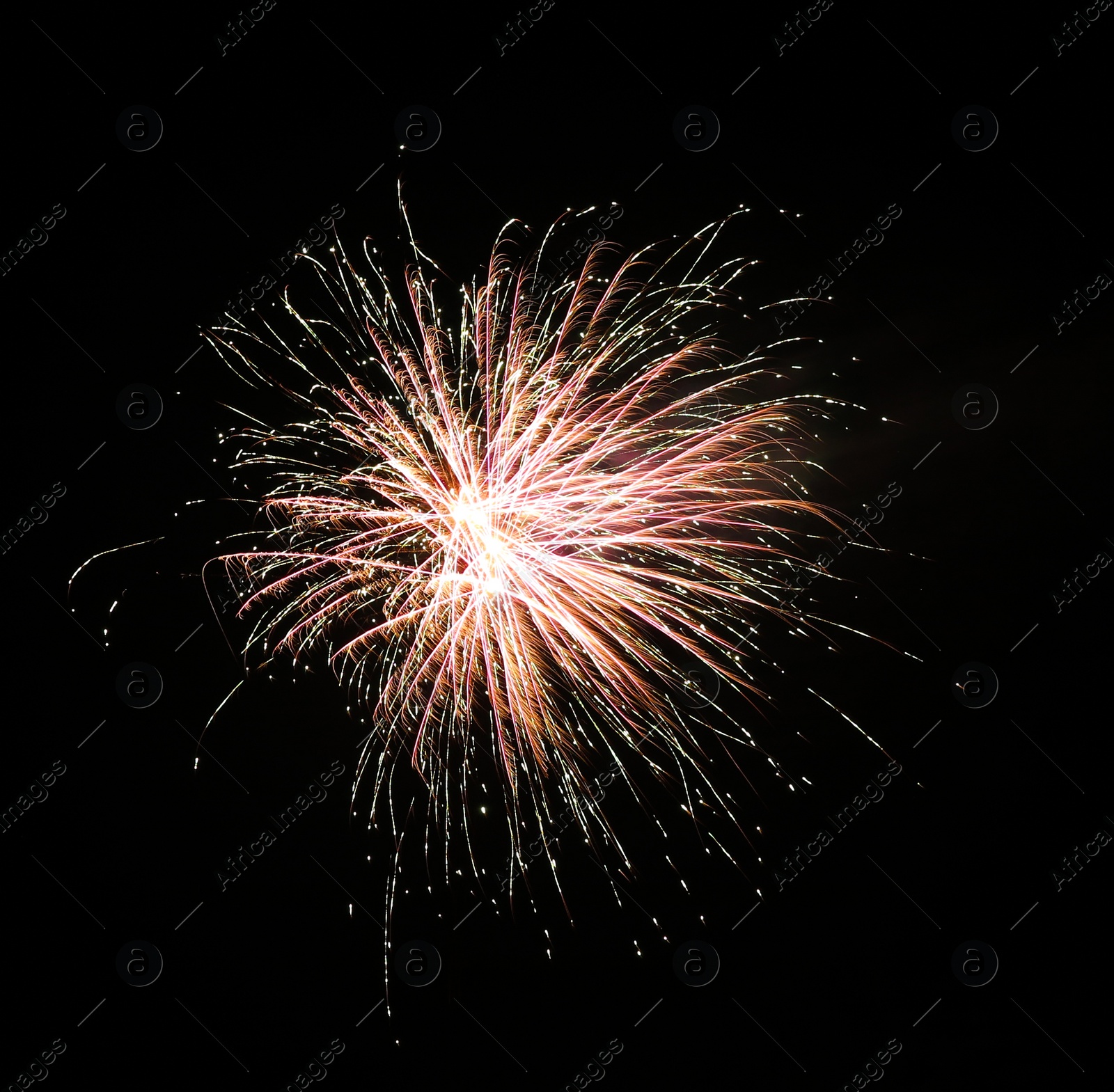 Photo of Beautiful bright firework lighting up night sky