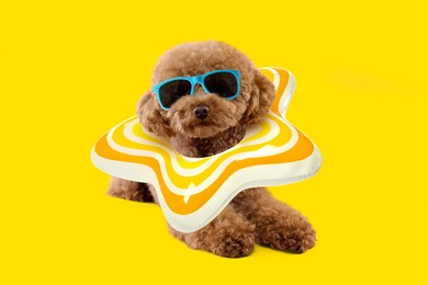 Image of Cute Maltipoo dog with stylish sunglasses and star-shaped swim ring lying on yellow background