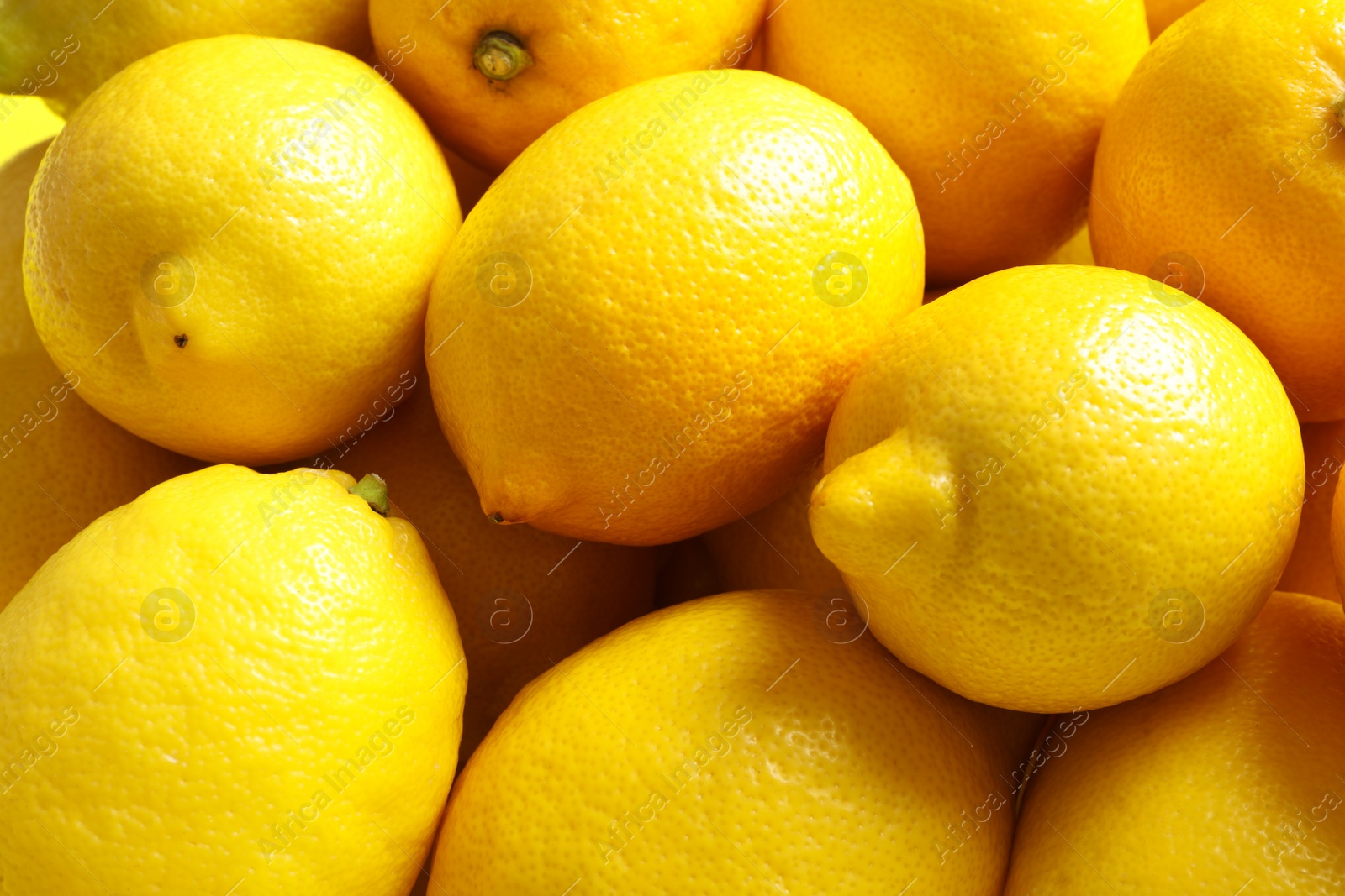 Photo of Many fresh ripe lemons as background, closeup