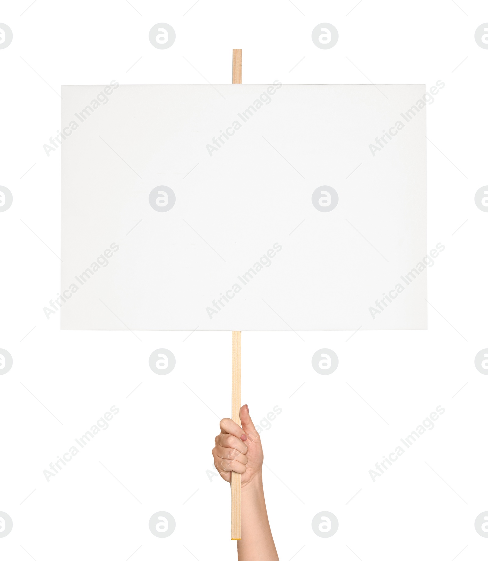 Photo of Woman holding blank protest sign on white background, closeup