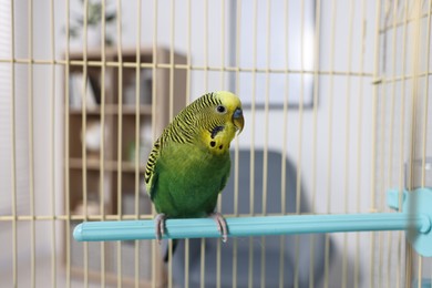 Photo of Beautiful bright parrot in cage indoors. Exotic pet