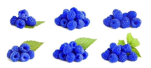 Set with fresh tasty blue raspberries on white background. Banner design