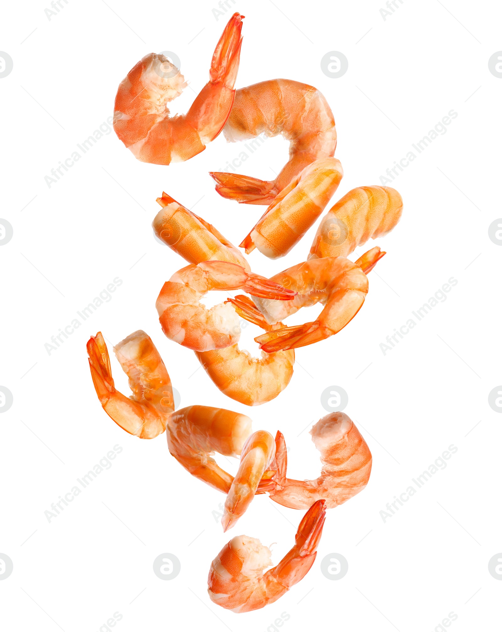 Image of Falling delicious freshly cooked shrimps on white background