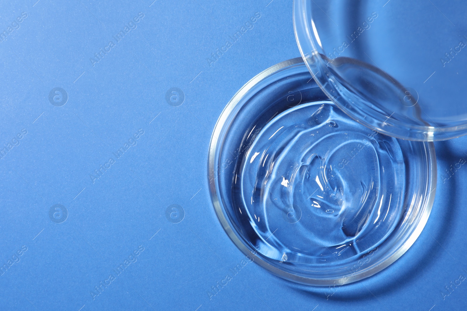 Photo of Petri dish with liquid and lid on blue background, flat lay. Space for text