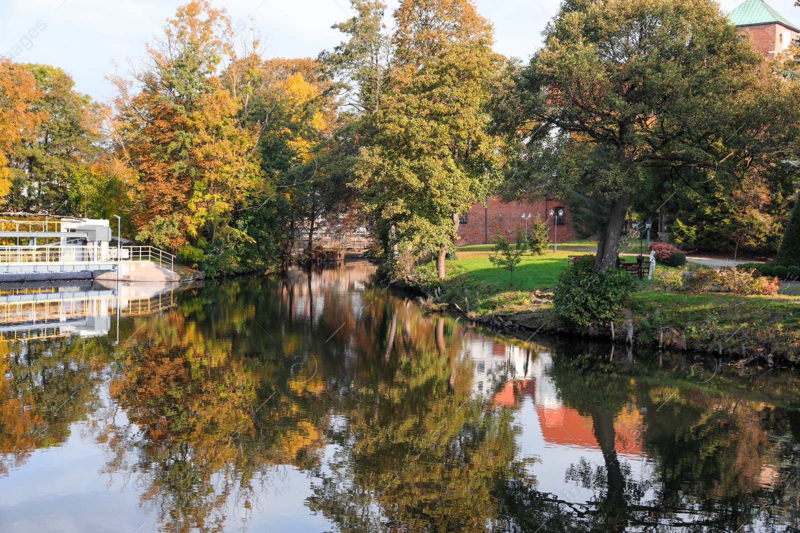 Photo of Picturesque view of river and trees in beautiful park. Autumn season