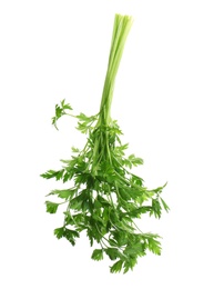 Photo of Bunch of fresh green parsley on white background