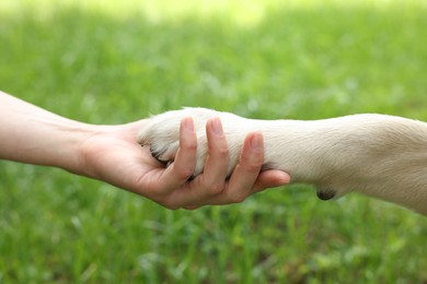 Photo of Dog giving paw to woman outdoors, closeup
