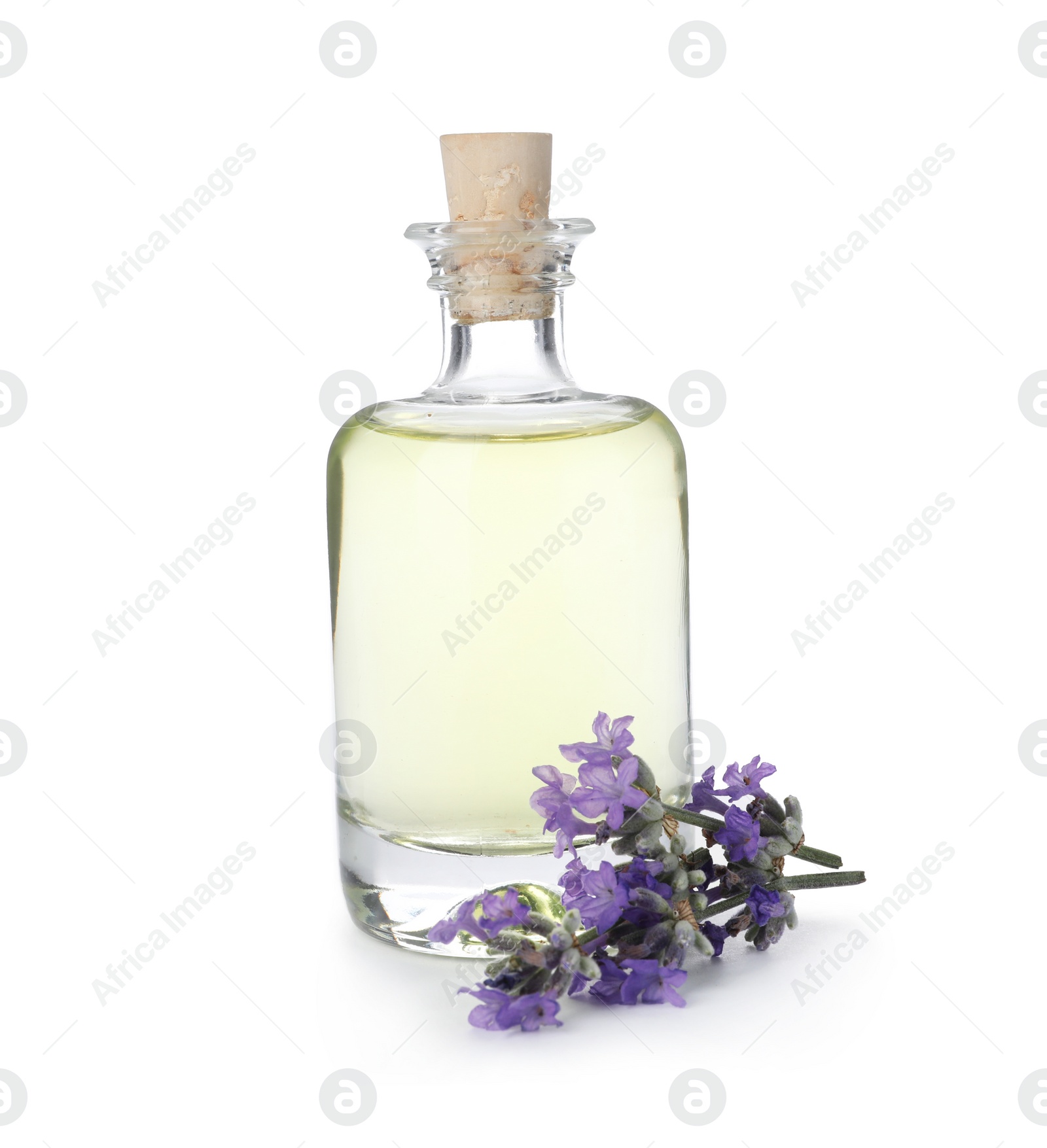 Photo of Bottle with natural lavender oil and flowers on white background