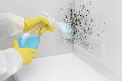 Image of Woman in protective suit and rubber gloves spraying mold remover on wall, closeup