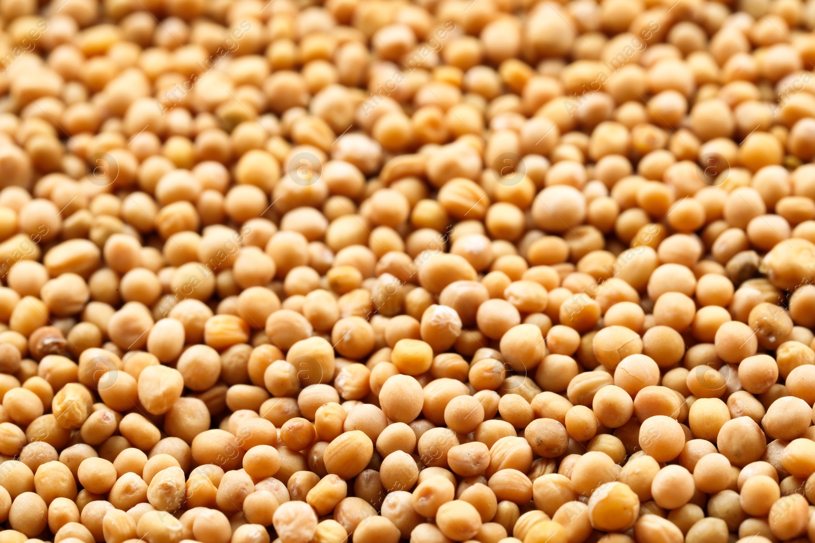 Photo of Many whole mustard seeds as background, closeup