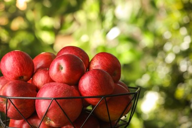 Photo of Ripe red apples in bowl on blurred background, closeup
