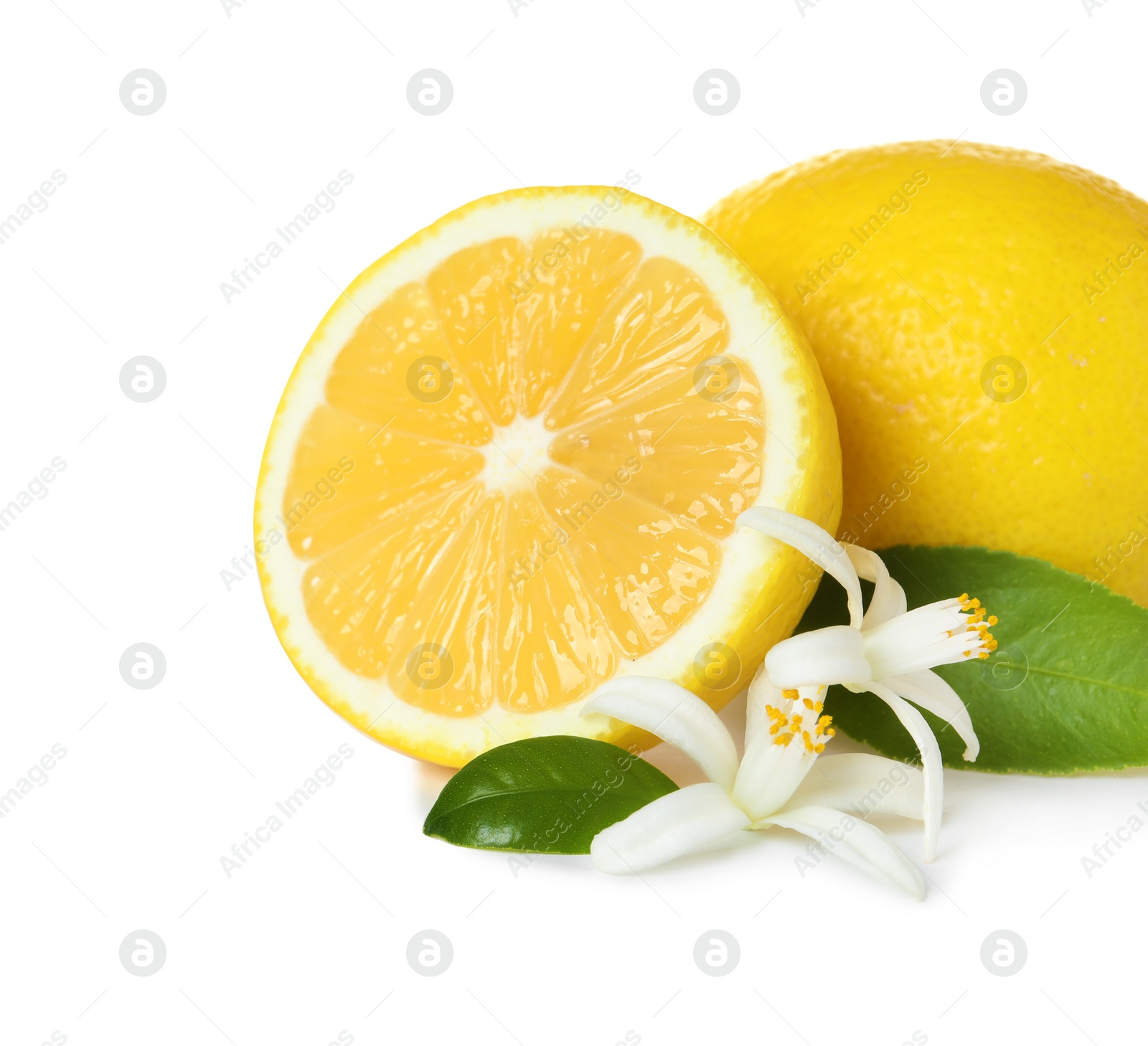 Photo of Ripe lemons, leaves and flowers on white background. Citrus fruit