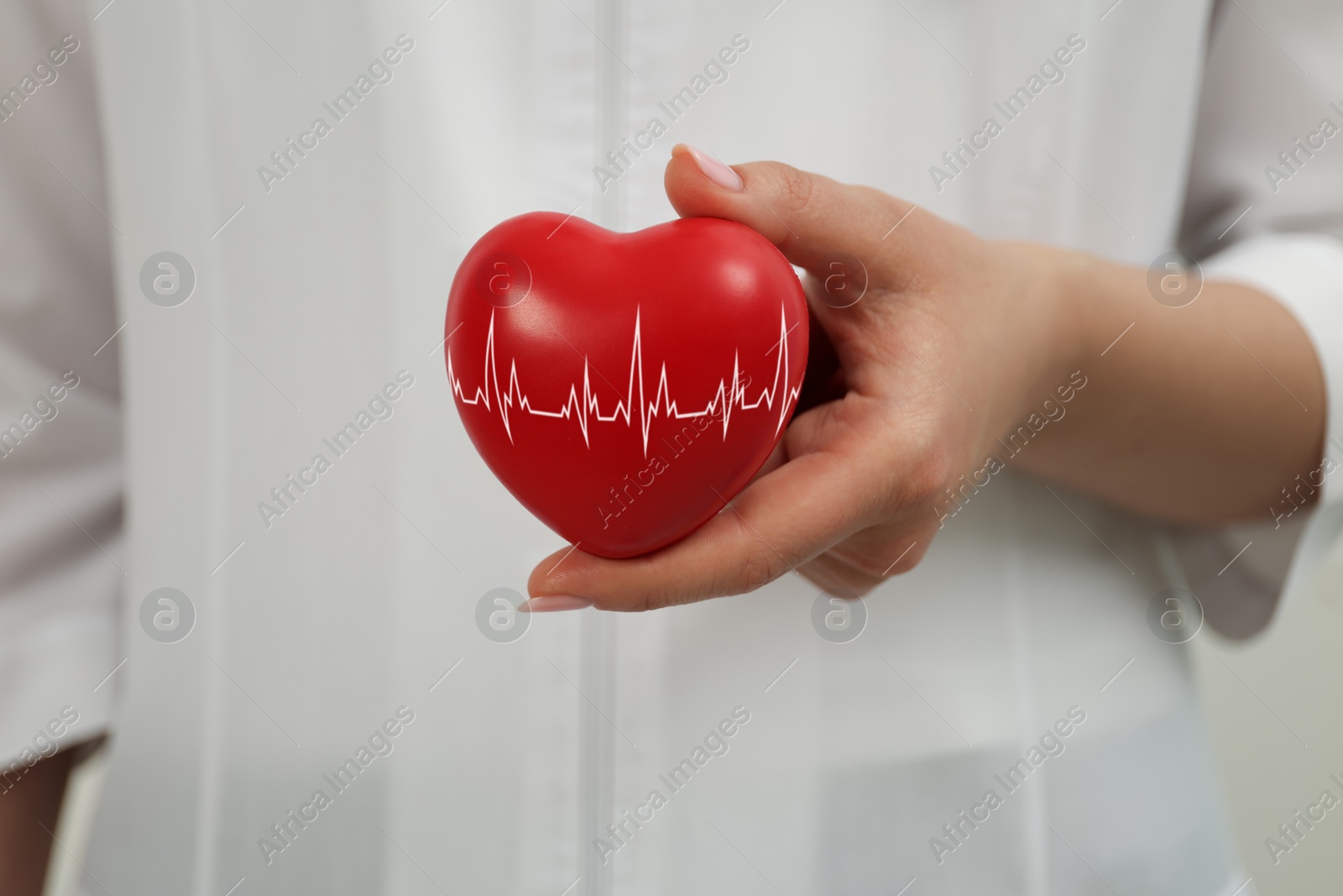 Image of Doctor holding red heart, closeup. Cardiology concept