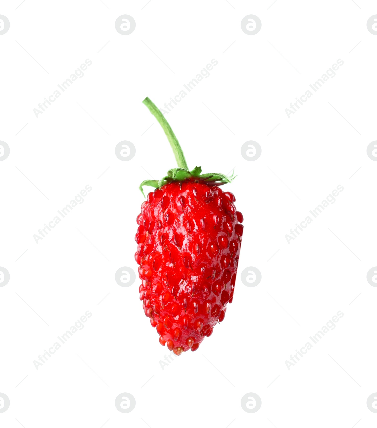 Photo of One ripe wild strawberry isolated on white