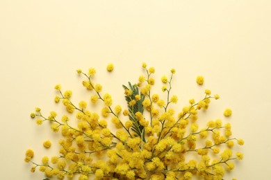 Beautiful floral composition with mimosa flowers on beige background, flat lay