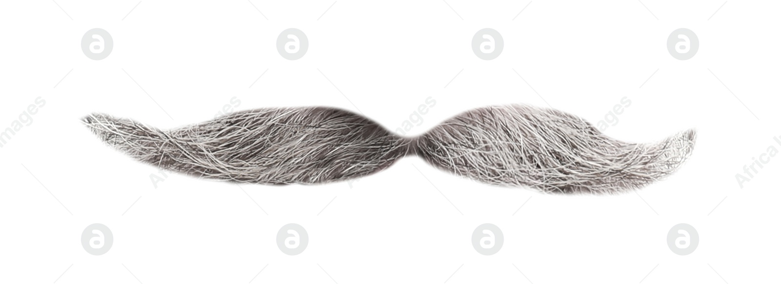 Image of Stylish gray mustache isolated on white. Facial hair