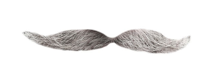 Image of Stylish gray mustache isolated on white. Facial hair