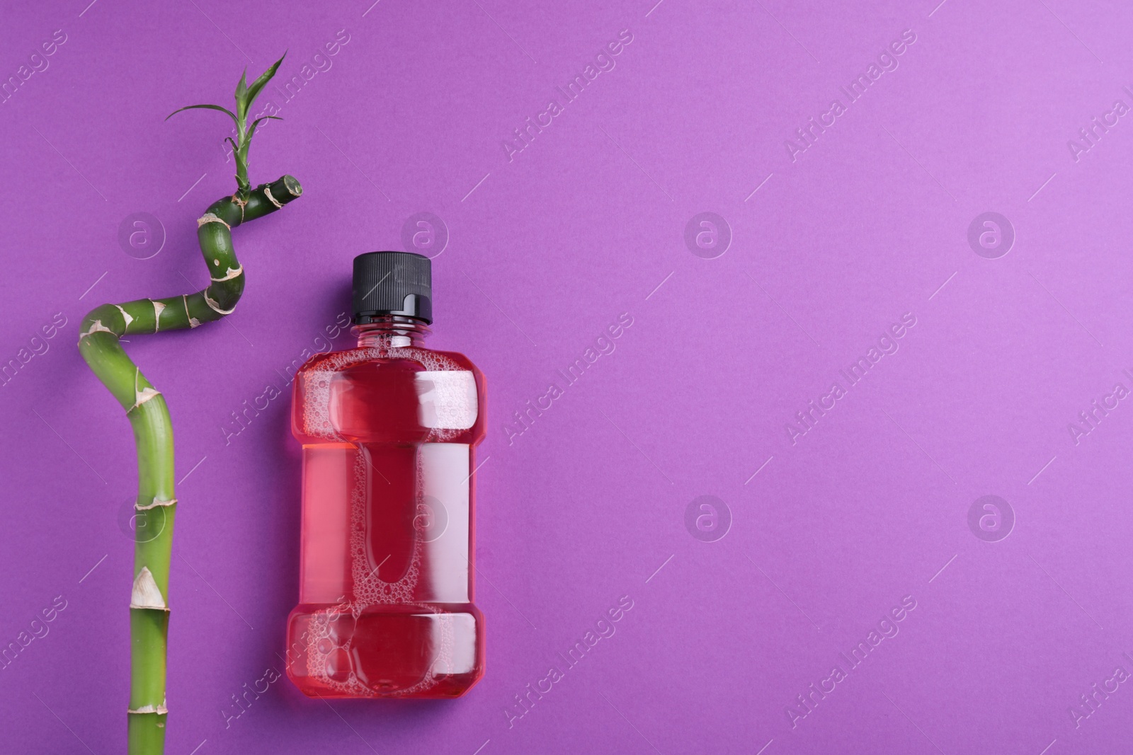 Photo of Mouthwash and bamboo on purple background, flat lay. Space for text