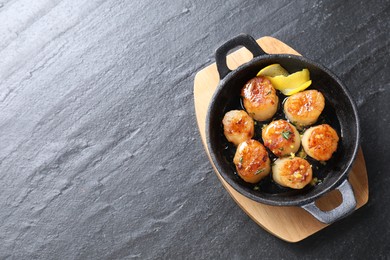 Photo of Delicious fried scallops on dark gray textured table, top view. Space for text