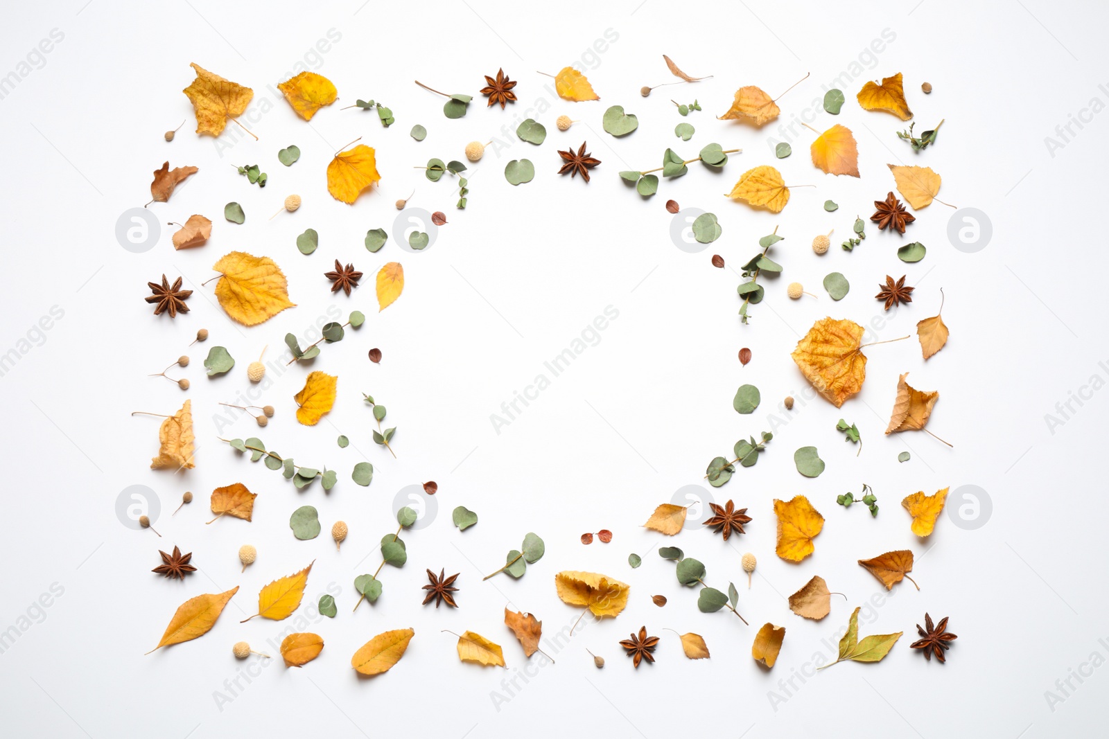 Photo of Flat lay composition with autumn leaves and space for text on white background