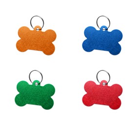 Image of Set with multicolor bone shaped dog tags on white background