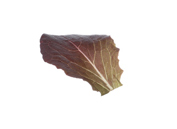 Leaf of fresh red lettuce isolated on white